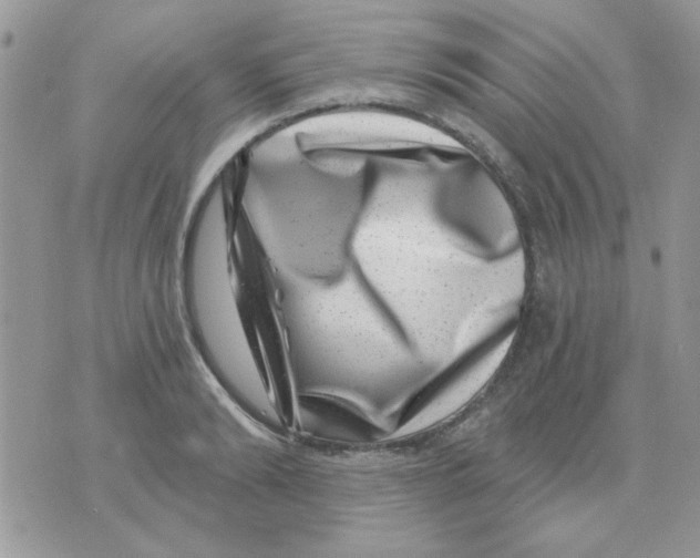 X0000071340894200607212029