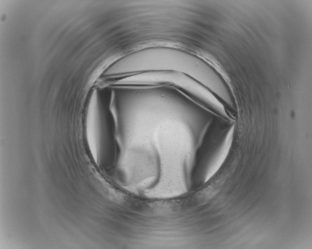 X0000071340898200607212029