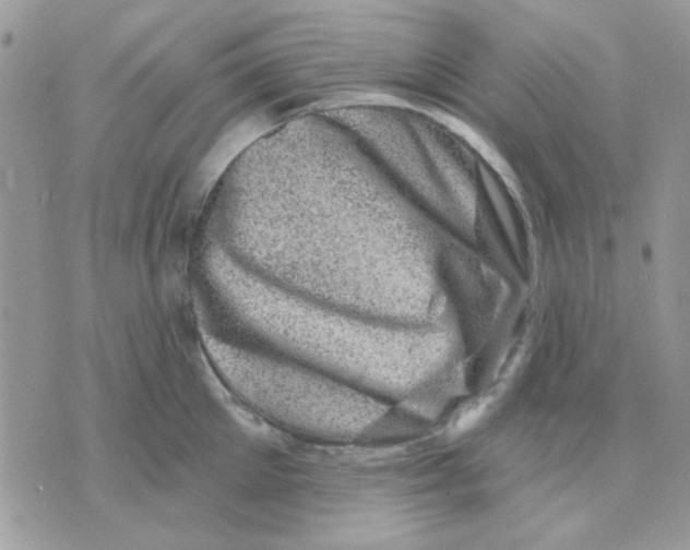 X0000071340905200607212029