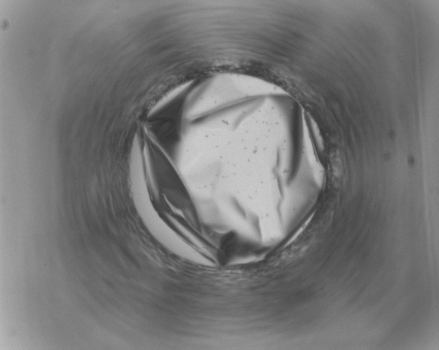 X0000071340916200607212028