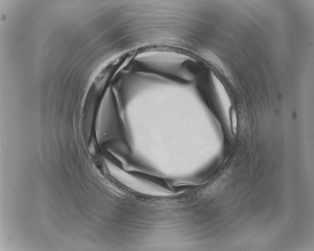 X0000071340924200607212028