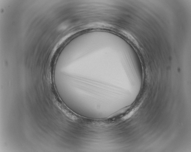 X0000071340931200607212028