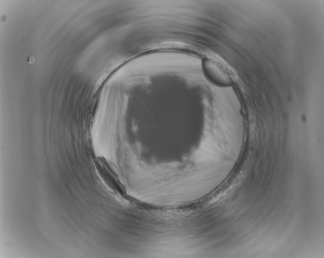 X0000071340945200607212029
