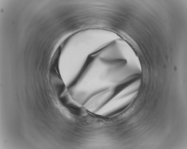 X0000071340956200607212029