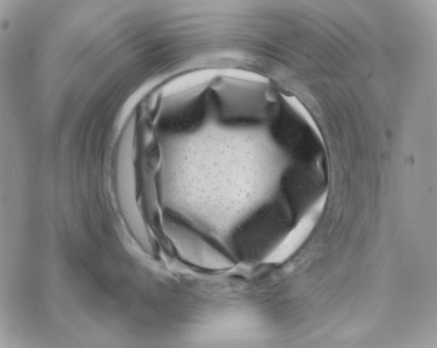 X0000071340960200607212029