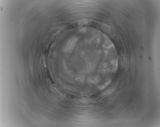 X0000071340962200607212028