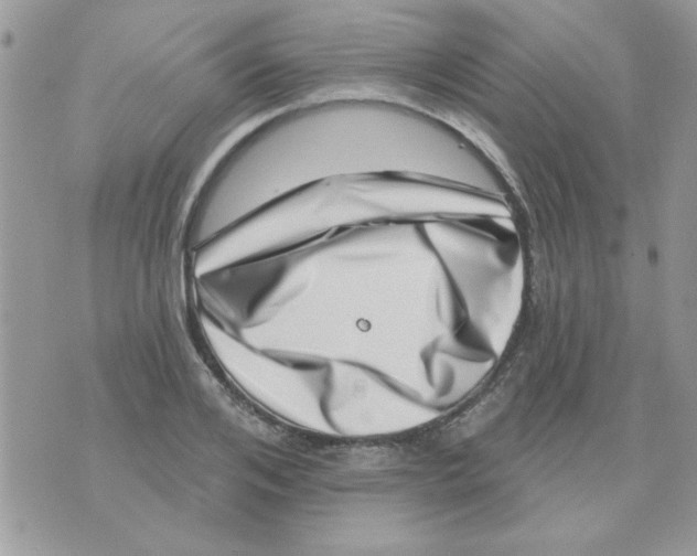 X0000071340984200607212028