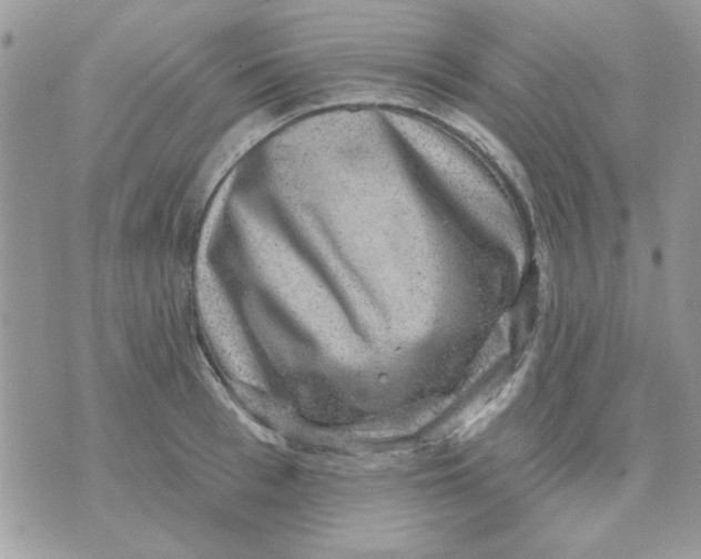 X0000071340993200607212027