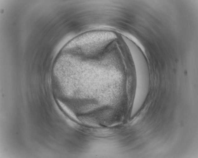 X0000071341007200607212027