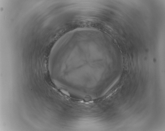 X0000071341013200607212027