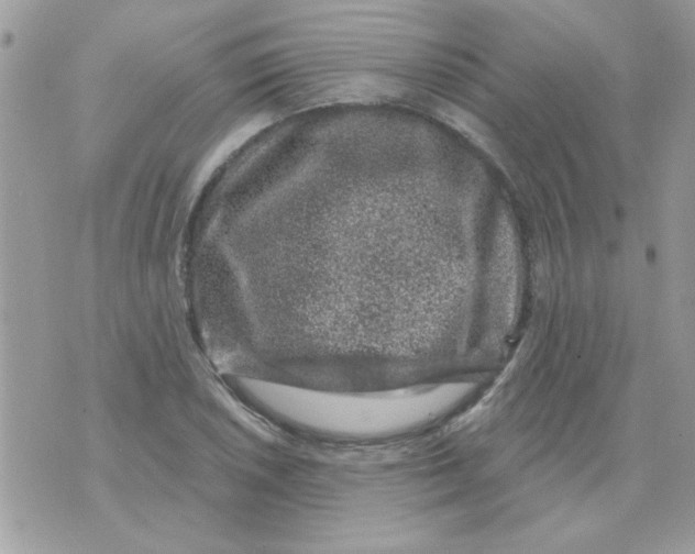 X0000071341026200607212027