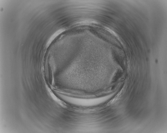 X0000071341042200607212027
