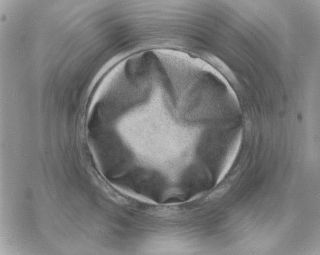 X0000071341052200607212027