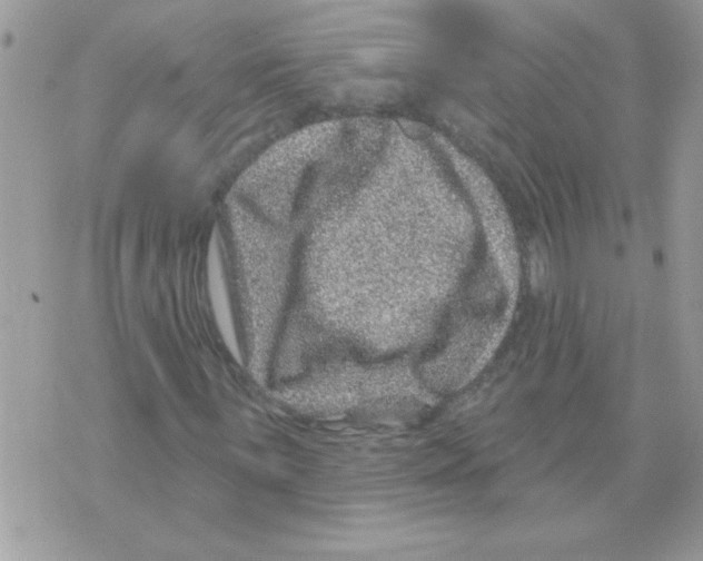 X0000071341059200607212026