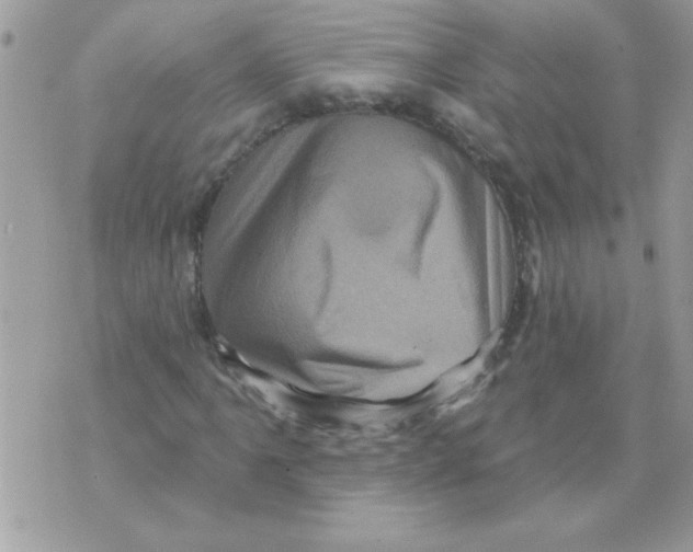 X0000071341061200607212026