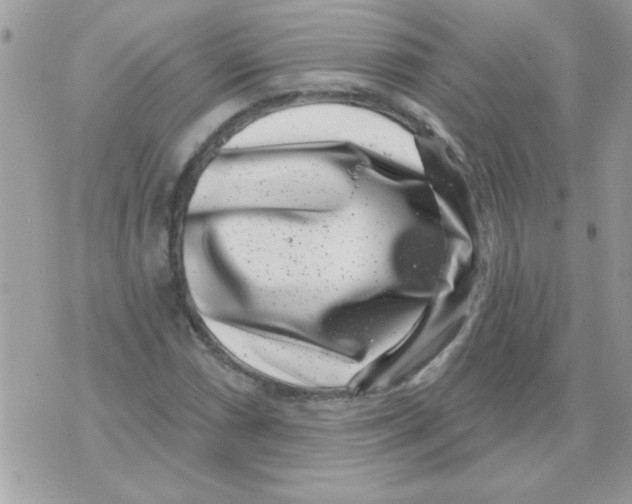 X0000071341066200607212026