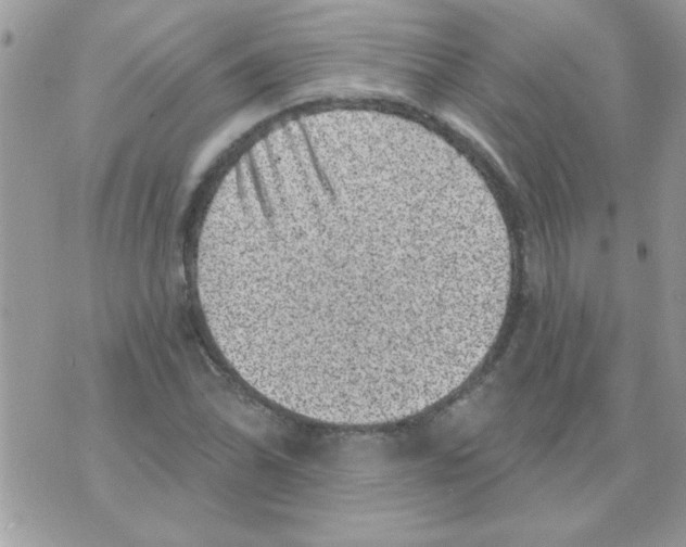 X0000071341070200607212026