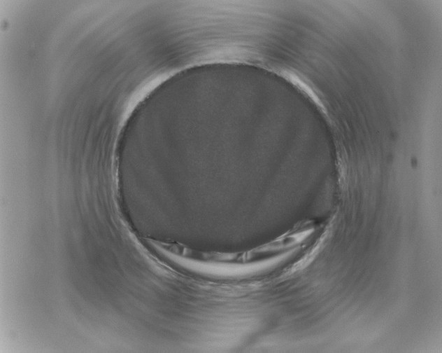 X0000071341077200607212026