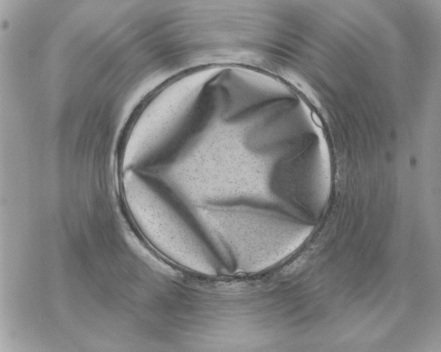 X0000071341080200607212026
