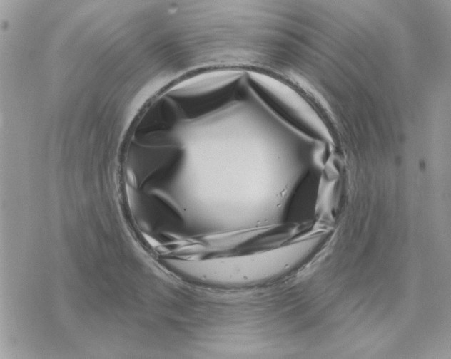 X0000071341085200607212026