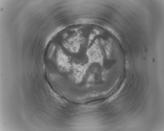 X0000071341117200607212025