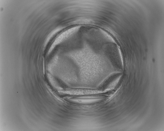 X0000071341123200607212025
