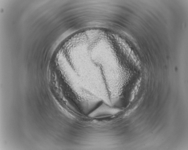 X0000071341125200607212025