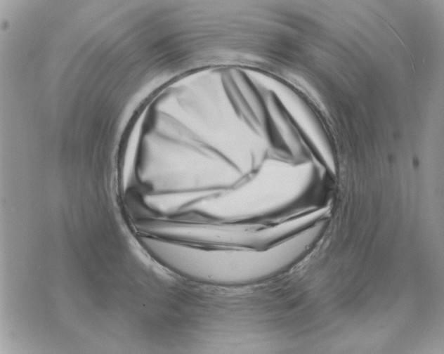 X0000071341136200607212025
