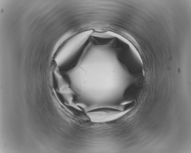 X0000071341146200607212026