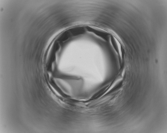 X0000071341148200607212026