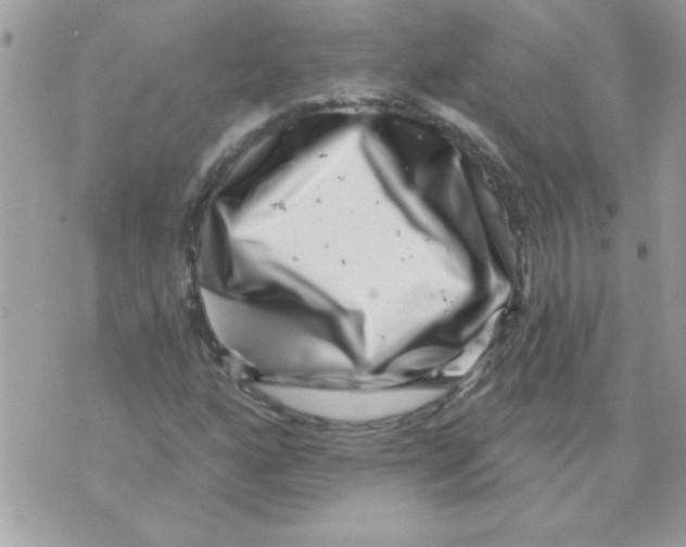 X0000071341160200607212025