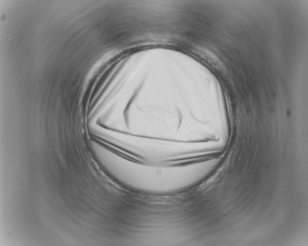 X0000071341172200607212025