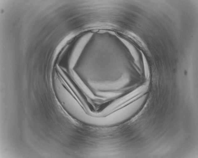 X0000071341188200607212024