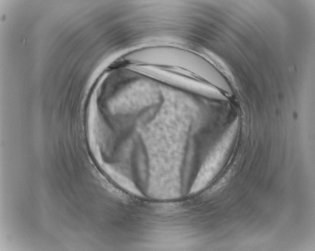 X0000071341192200607212024