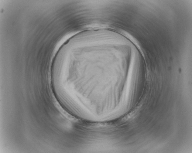 X0000071341195200607212024