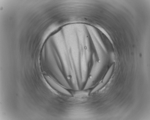 X0000071341197200607212024