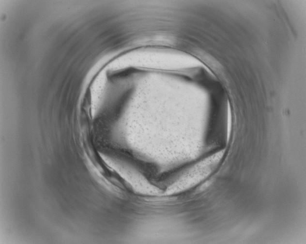 X0000071341200200607212024