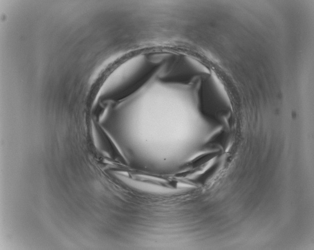X0000071341214200607212024