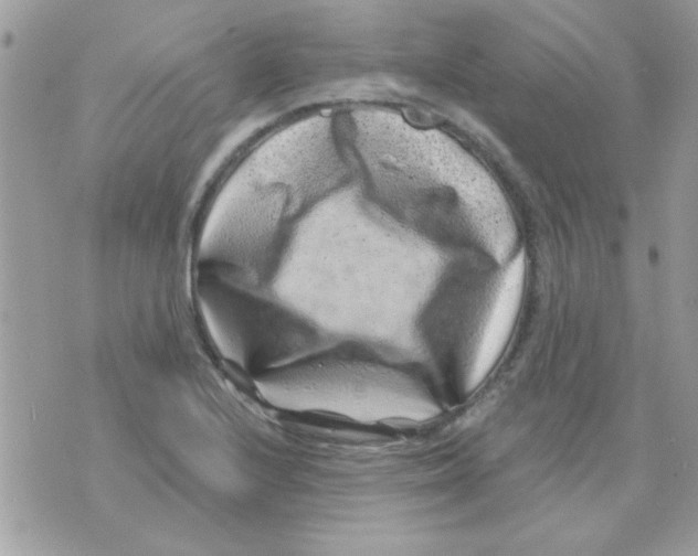 X0000071341224200607212024
