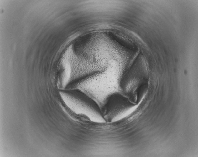 X0000071341225200607212024
