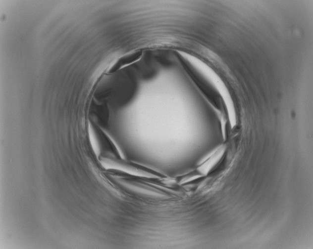 X0000071341234200607212024