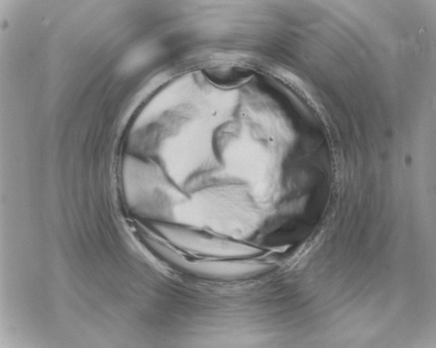 X0000071341235200607212024