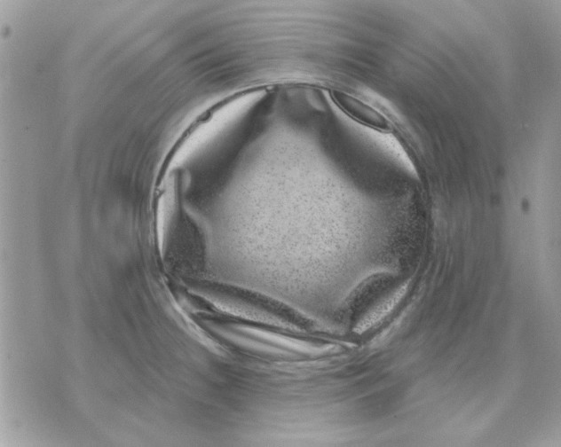 X0000071341236200607212024