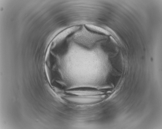X0000071341244200607212024