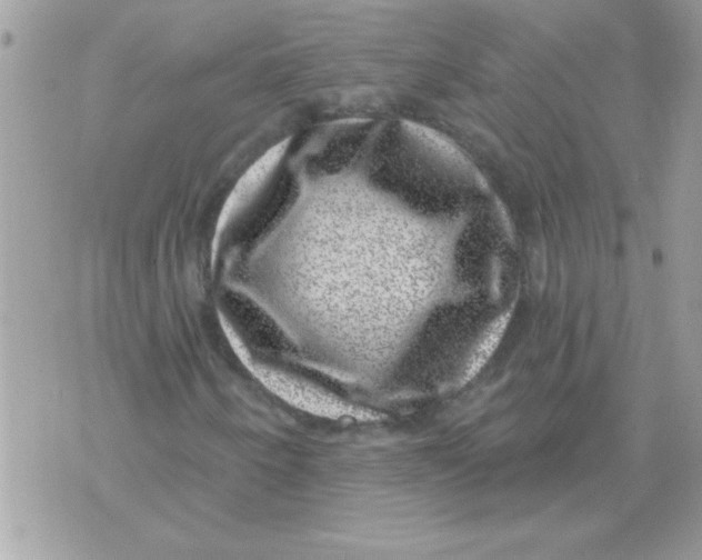 X0000071341250200607212023