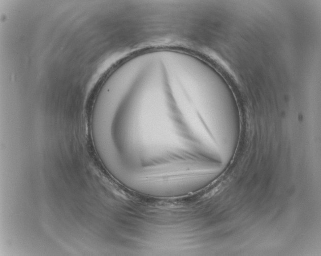 X0000071341270200607212023