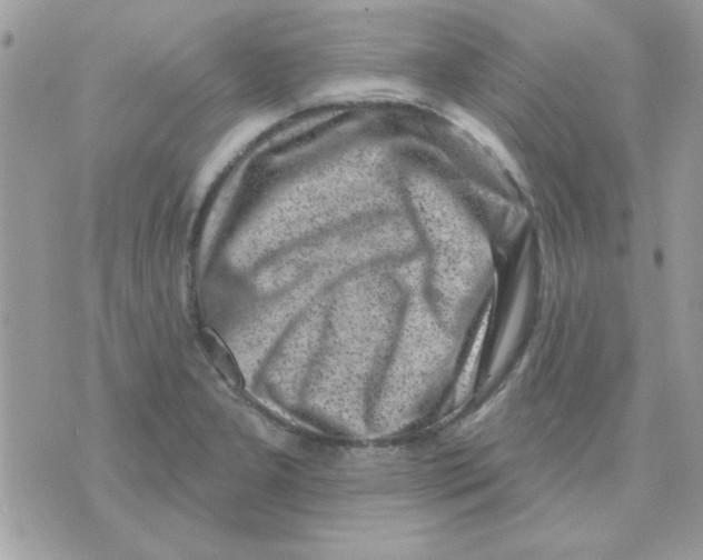 X0000071341277200607212023