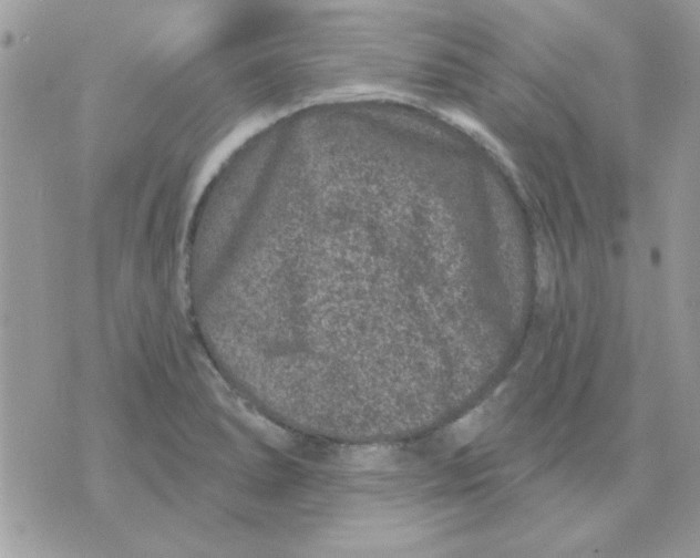 X0000071341278200607212023
