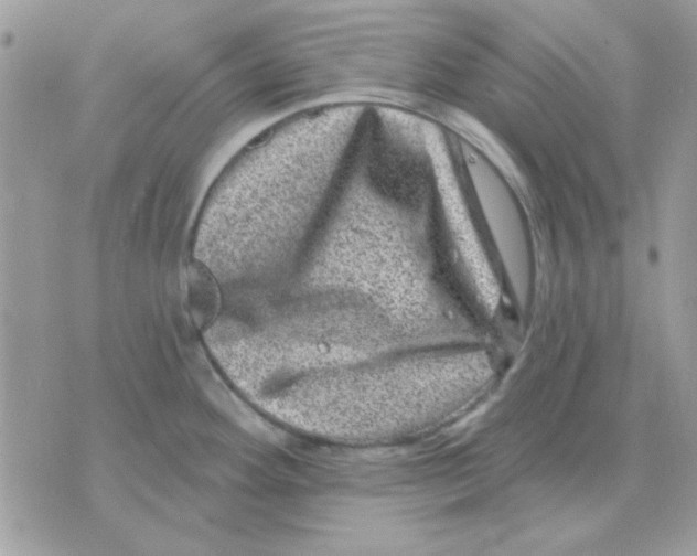 X0000071341292200607212023