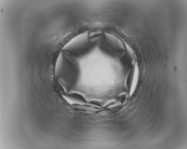 X0000071341301200607212022